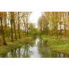 L'Orne ,Le Longeau ,L'Yron
