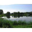 Canal latéral Moselle (Carpe de nuit )