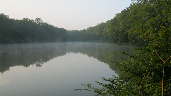 Etang de pêche à la Carpe de Froideville