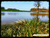 Carpodrome-des-deux-etangs