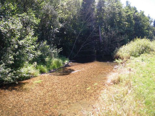 La Vézouve