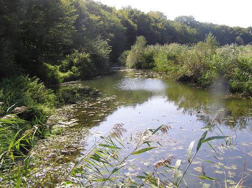 L'Orne ,Le Longeau ,L'Yron