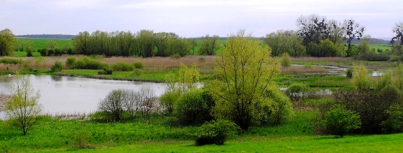 Etang de Droitaumont