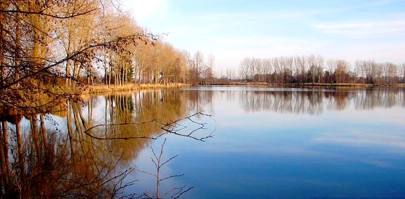 Etang Pré Cathelinette  , Etang Thiriet