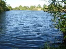 Etang de Maginal et Etang Patis Haxaire