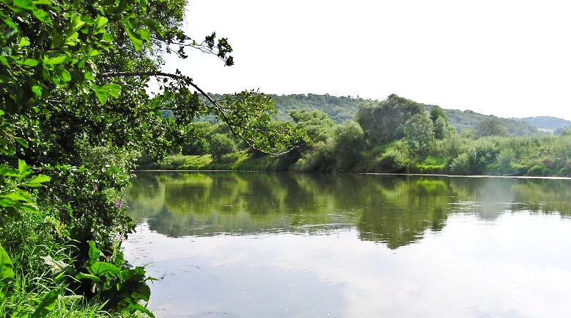 Canal latéral Moselle (Carpe de nuit )