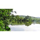 Canal latéral Moselle (Carpe de nuit )