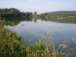 Etang du Poncet