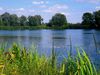 Etang du Saussi , Petit étang Müller et Etang grand Müller