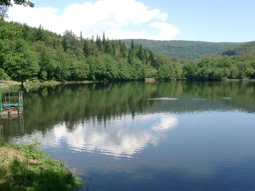 LAC LES PICADES