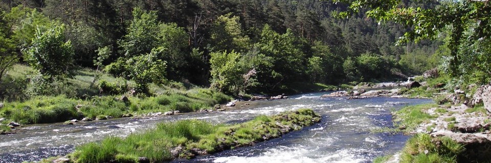 LE TARN DE PEYRELEAU À MILLAU