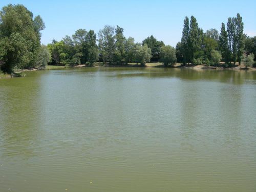 LAC [BOIS VIEUX (LAC DU)]