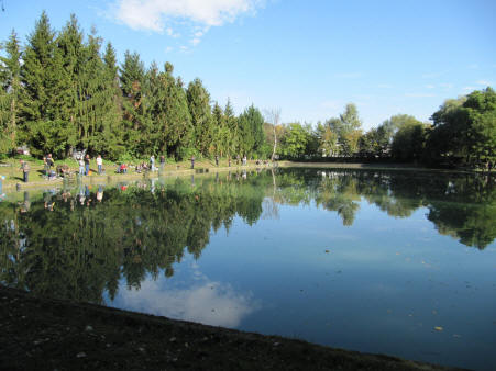 L'Etang du Bitz à Brunstatt