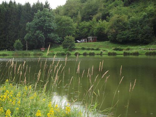 Etang du Maerel à Oderen