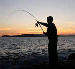 Technique de pêche : pêche en mer ou surfcasting